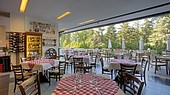 Отель ДЕЛЬФИН 4*, Св. Константин и Елена, Болгария