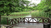 Отель ГЕРГАНА 4*, Албена, Болгария