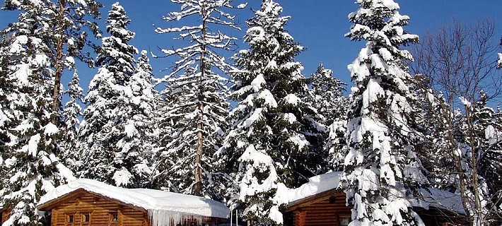 Отель ВИЛА ЯГОДА 3*, Боровец, Болгария