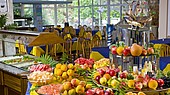 Отель ОАЗИС 2*, Албена, Болгария