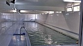 Отель ФРЕДЕРИК ЖОЛИО КЮРИ 3*, Св. Константин и Елена, Болгария