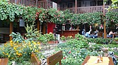 Отель ИЗВОРА 3*, Кранево, Болгария