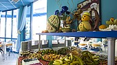 Отель ПРИМАСОЛ СИНЕВА ПАРК 3*, Св. Влас, Болгария