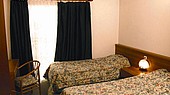 Отель АО СЕВЕРНАЯ ЗВЕЗДА 3*, Банско, Болгария